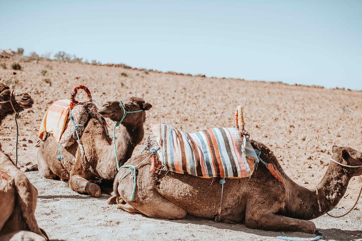 Luxury 4 Days Desert Tour From Fez To Marrakech Via Merzouga Desert image