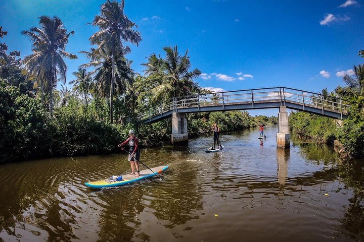 Stand Up Paddle Board Experience of Sri Lanka image