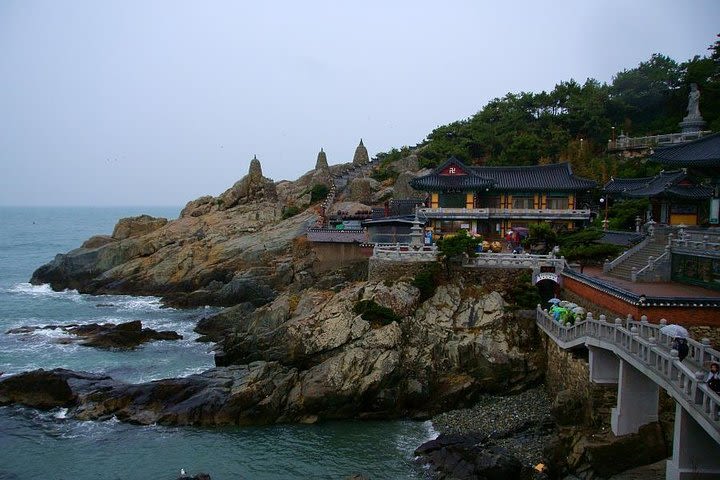 Busan Like a Local: Customized Private Tour image