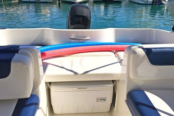 Boat rental without license Bayliner 1/2 day image