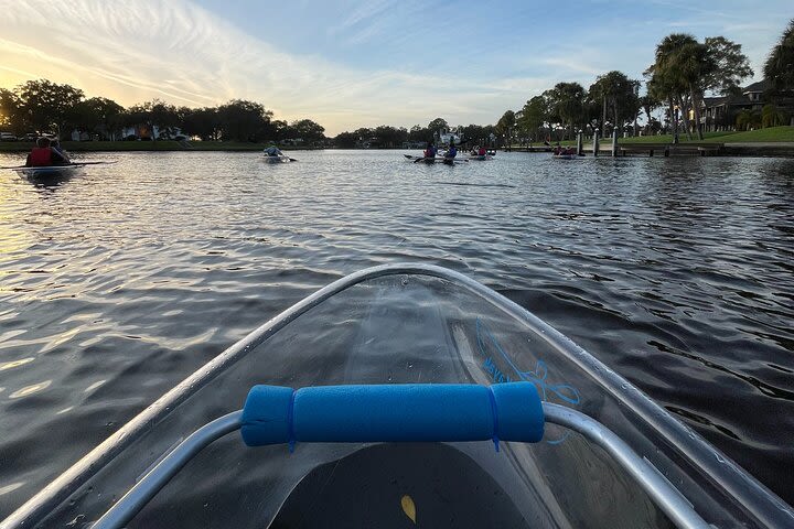 Clear Kayak Tour of Tarpon Springs | Manatee Season image