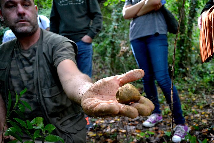 Full-Day Small-Group Truffle Hunting in Tuscany with Lunch image