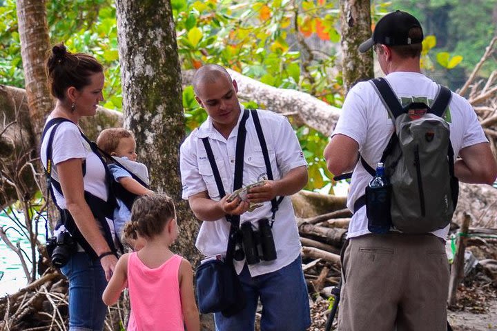 Private Manuel Antonio Park Tour image