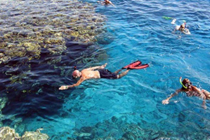  Ras Mohamed Snorkeling By Bus In Sharm El Sheikh  image