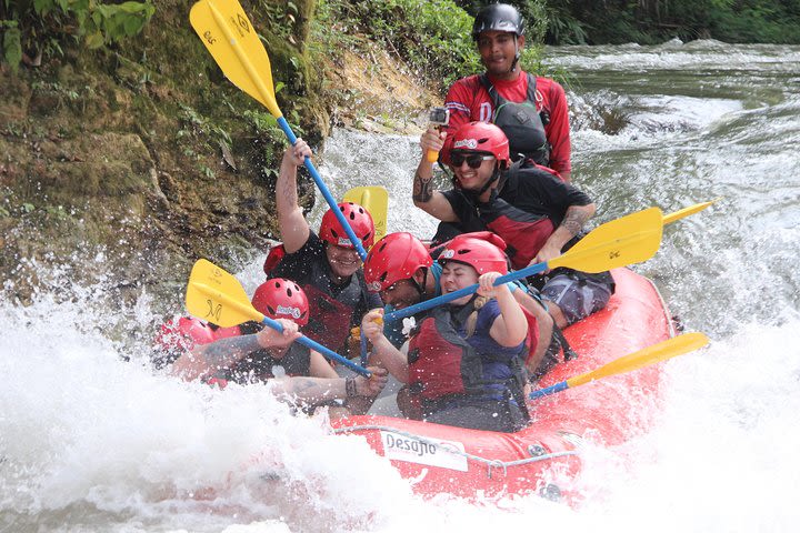 Full-Day Whitewater Rafting Sarapiqui Jungle Run Class 3-4 from La Fortuna image