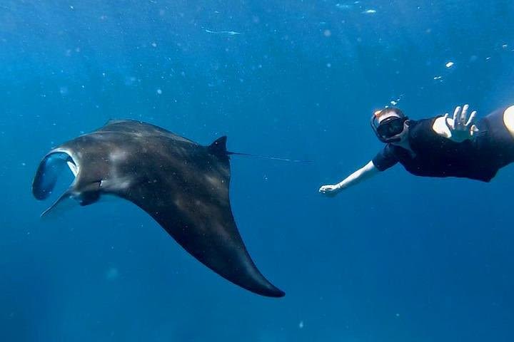 Private Snorkeling Nusa Penida at Manta Point image