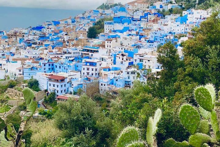 Private Day tour to Chefchaouen from Tangier image