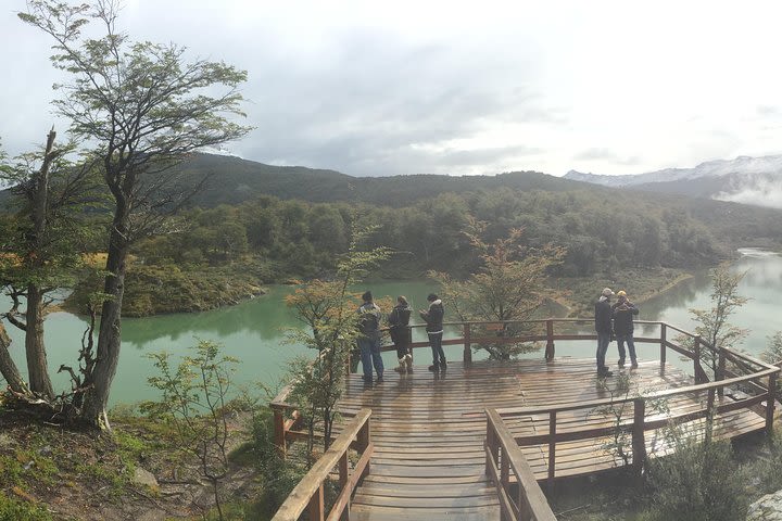 Half-Day Tierra del Fuego National Park with Lunch and Drinks image