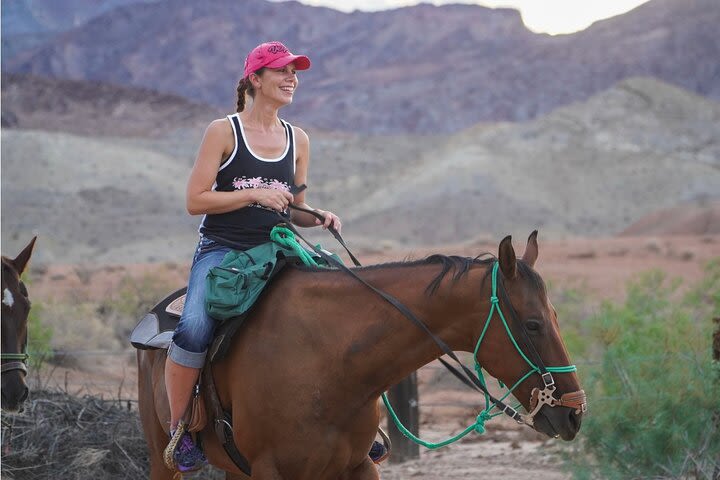 Evening Horseback Riding Tour image