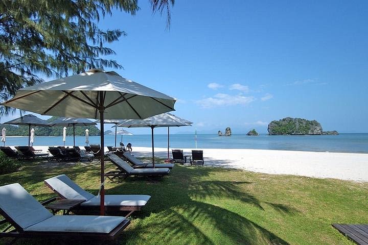 Private Tanjung Rhu Village and Mangroves by Boat in Langkawi image