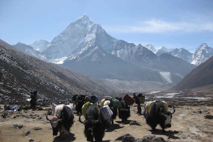 Everest Three (High) Passes Trekking  image