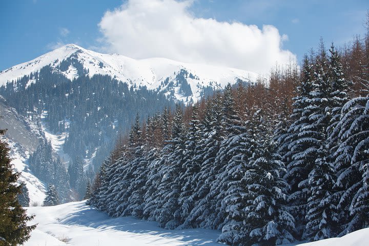 Winter Alatau 5-day skitour programme image