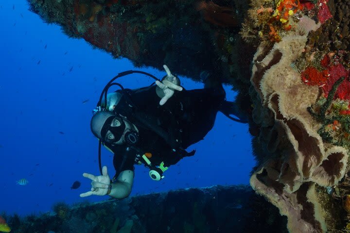 Scuba Dive in Yucatan Peninsula, Mexico image