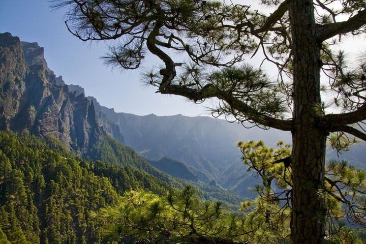 2-Day Private Tour Knowing The Caldera de Taburiente image