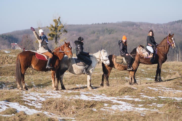 Five hours of extreme horse riding trip around Lviv city for experienced riders image