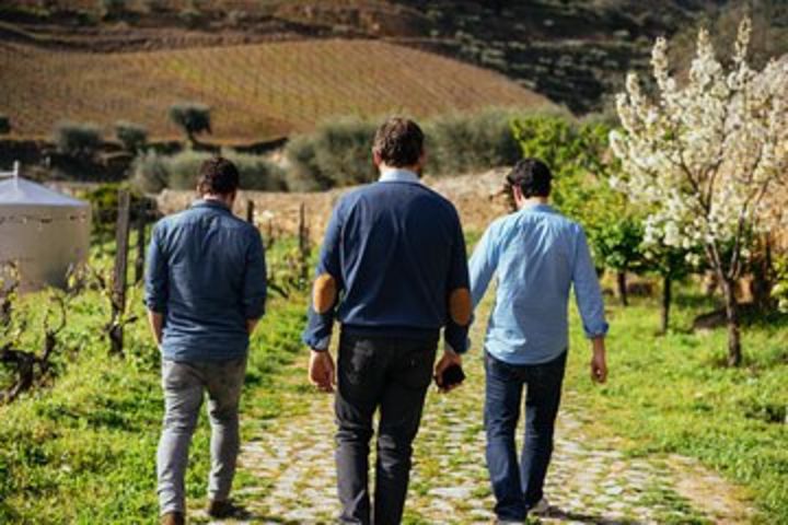 City Escape: Douro Valley Private Day Trip image