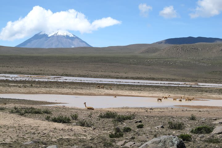 Colca Canyon Tour 2d Short hiking + Overnight in small village Ending in Puno image