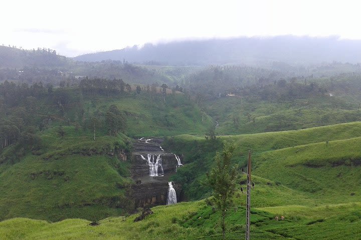 Nuwara Eliya Day Tour - Hill Country Tea Plantation Tour image