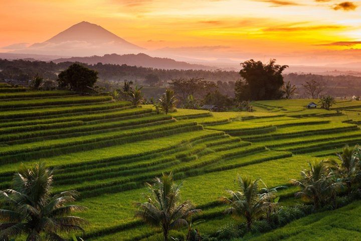 Shared Tour: Jatiluwih Rice Terraces - Ulun Danu Temple - Banyumala Waterfalls image