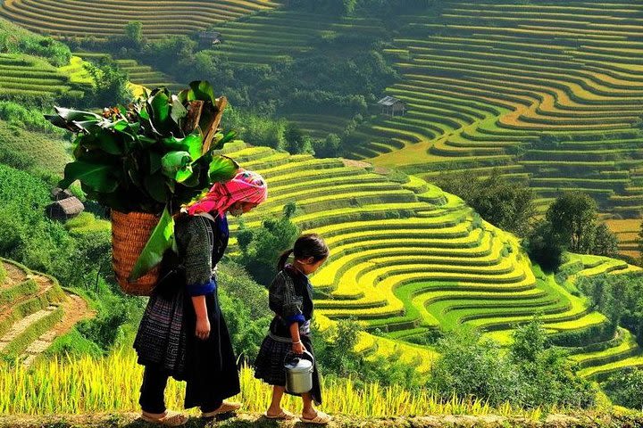 Hanoi Food Tour & Sapa 3 Days – 2 Nights Bac Ha Market (2 nights in hotel) image