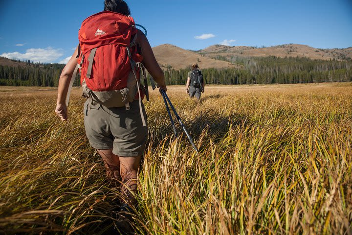 Full-Day Private Hike in Yellowstone National Park image