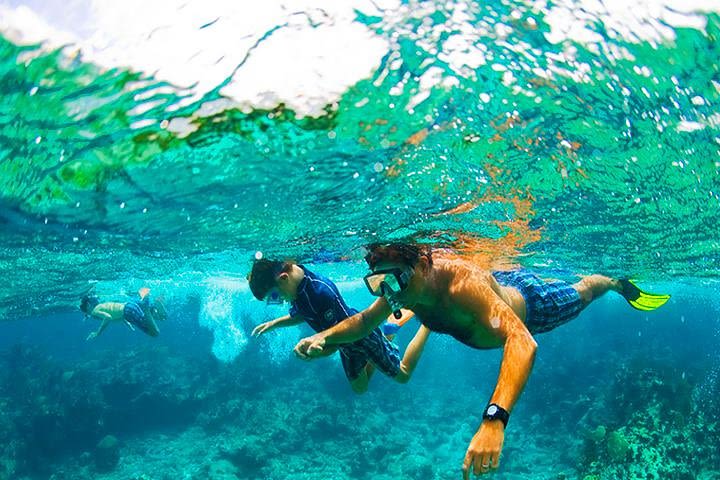 West Bay Aquarium Snorkeling, Beach, Zipline, City Tour & Transfer image