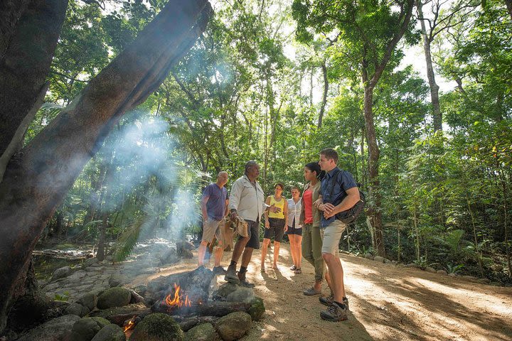 Daintree Dreaming Traditional Aboriginal Fishing from Cairns or Port Douglas image