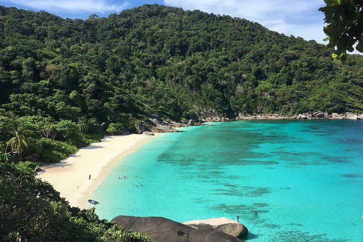 Early Bird Similan Islands Snorkel Tour by Siam Adventure World from Phuket image