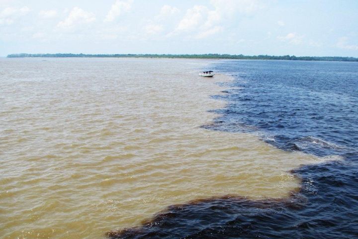 Amazon River Pink Dolphin Adventure image