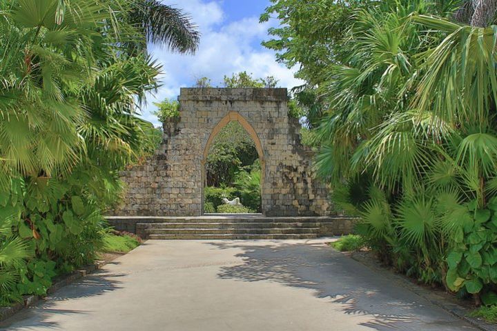 Cozumel Experience by Jeep image