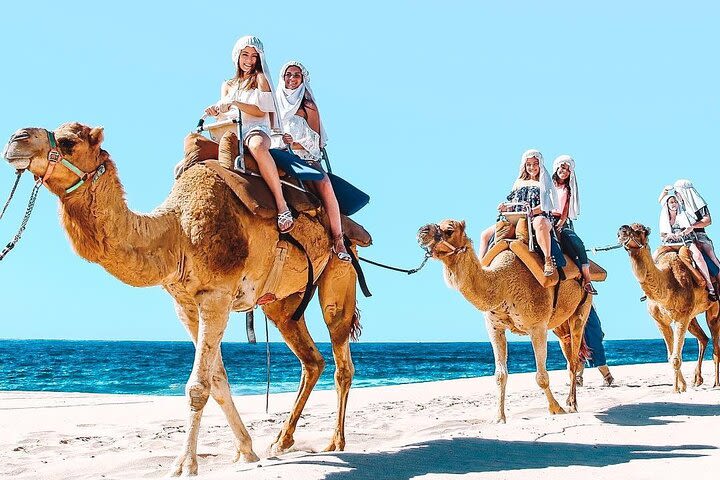 Camel Ride Safari. Mexican Buffet & Tequila Testing for free image