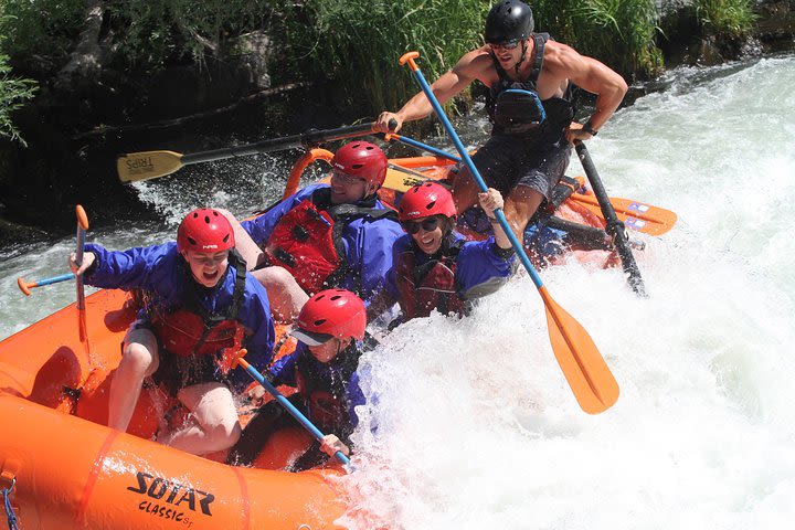 Rogue River Thrill Seeker image