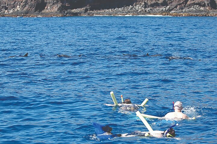 Morning Snorkel Sail from Lahaina Harbor image