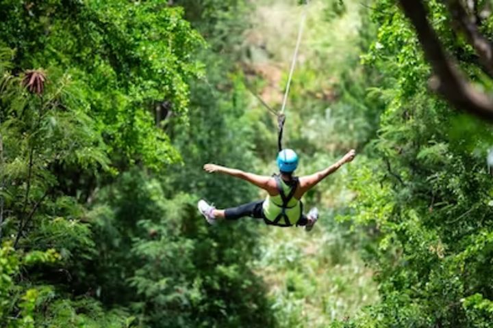 Three Zipline Adventure image