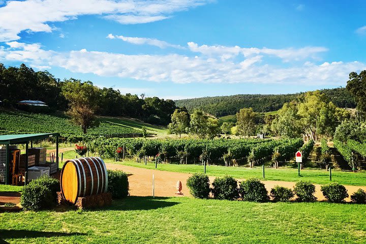 Small-Group Bickley Valley Wine Tour image