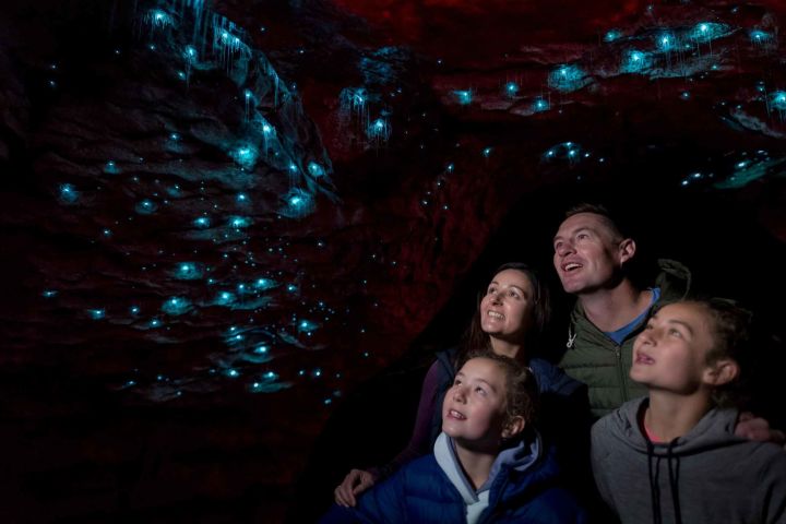 Te Anau: Glowworm Caves Guided Tour image