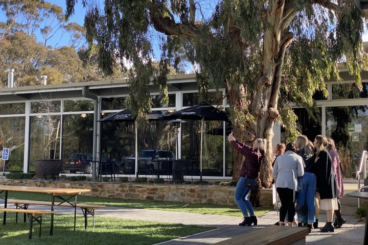 Clare Valley Wine Tour image