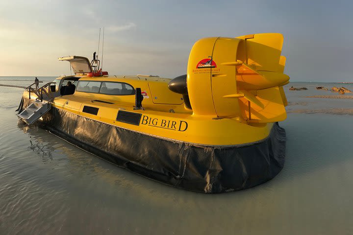 Prehistoric Bubbles and Nibbles Hovercraft Tour image