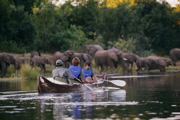 Full-Day Zambezi River Canoeing Experience with Pickup image