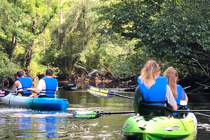 Guided Kayak Eco Tour: Real Florida Adventure image