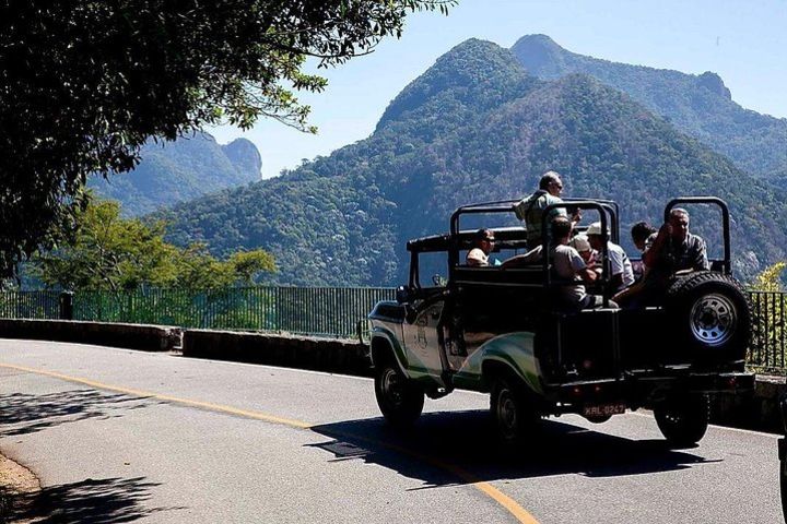 Tijuca Forest Jeep Tour - Rio de Janeiro  image