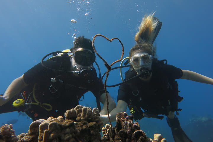 Private Dive for 2 in Lahaina image