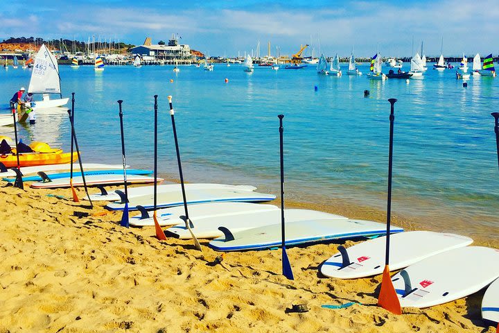 Stand up paddle boarding  image