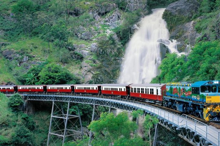 Classic Kuranda by Skyrail and Scenic Railway Including Rainforestation, Koala and Wildlife Park and Pamagirri Aboriginal Experience image