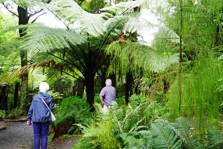 Get out of the City - Wellington Region Full-day Private Tour  image