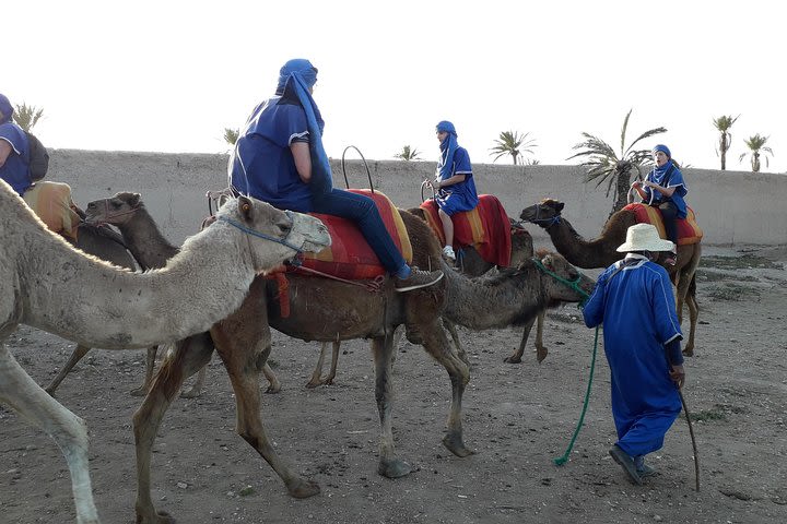 Camel Ride with bedouin & Quad Biking in palm grove image