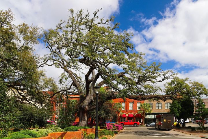 Hilton Head to Savannah Round-Trip Ferry Ticket image