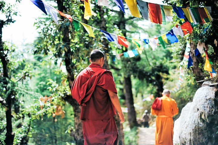 Trek with Yoga Retreat In Nepal's Mountain Villages  image