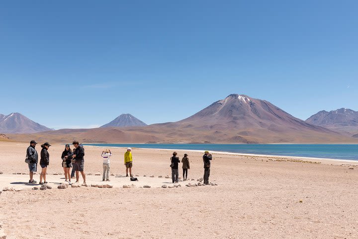 Altiplanic Lagoons and Piedras Rojas Tour - Full Day Tour - Private Option image