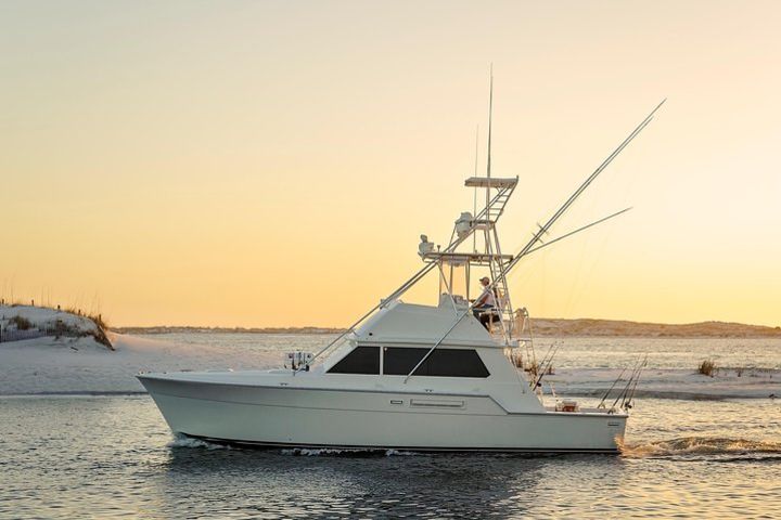 Full day 8 hrs Fishing Charter on a 42’ Sportfish ,Alibi image